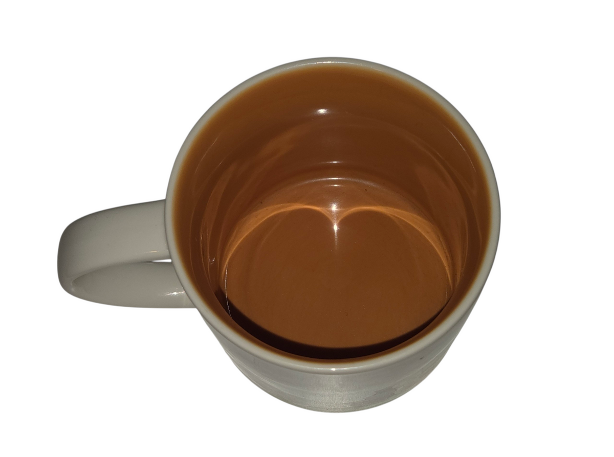Starbucks Texas mug orange interior