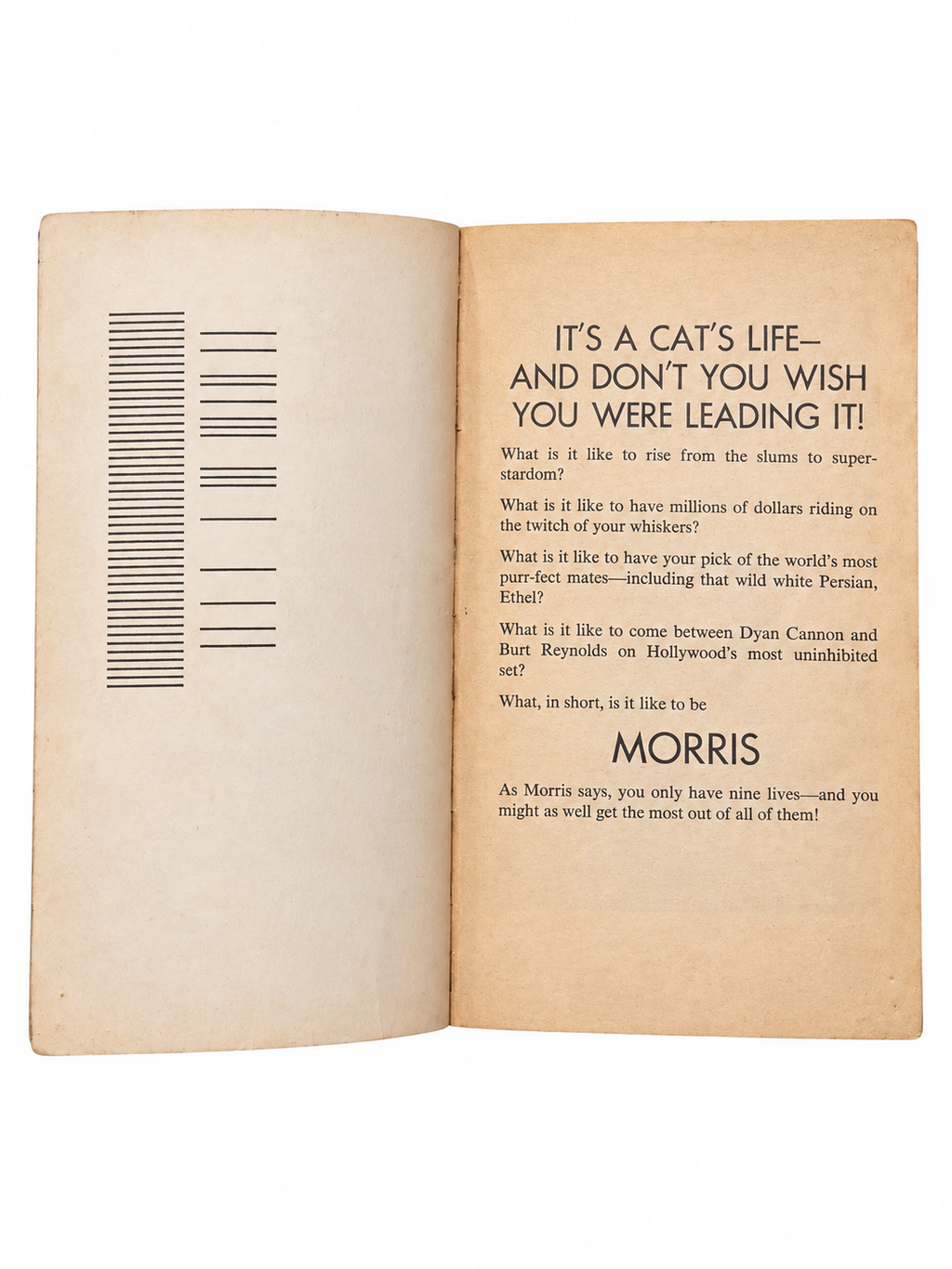 Morris An Intimate Biography opening pages showing original age discoloration on white background