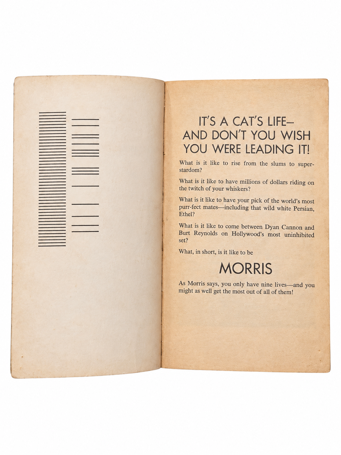 Morris An Intimate Biography opening pages showing original age discoloration on white background