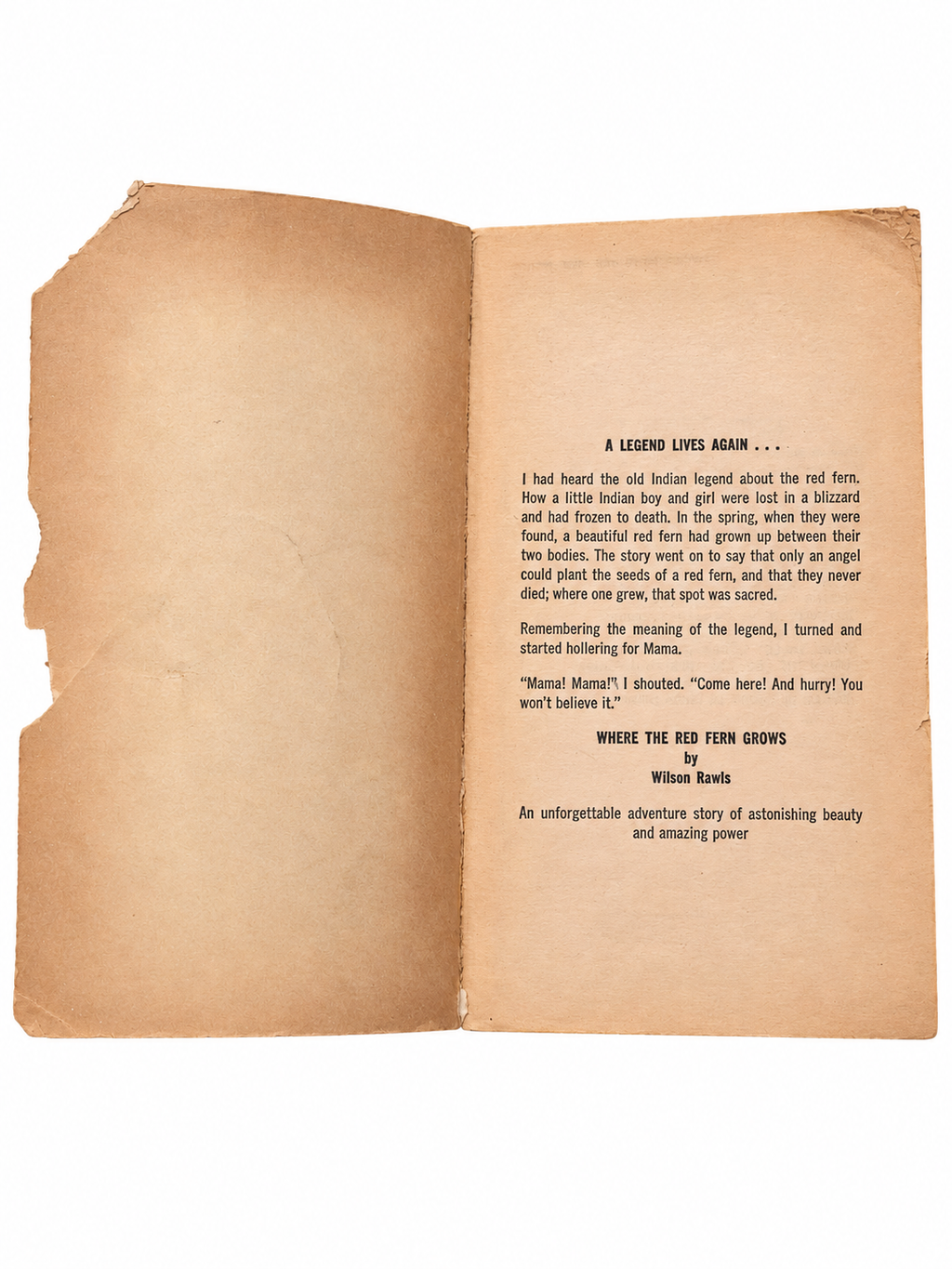 Where the Red Fern Grows opening pages showing torn inside cover, age tanning and discoloration on white background