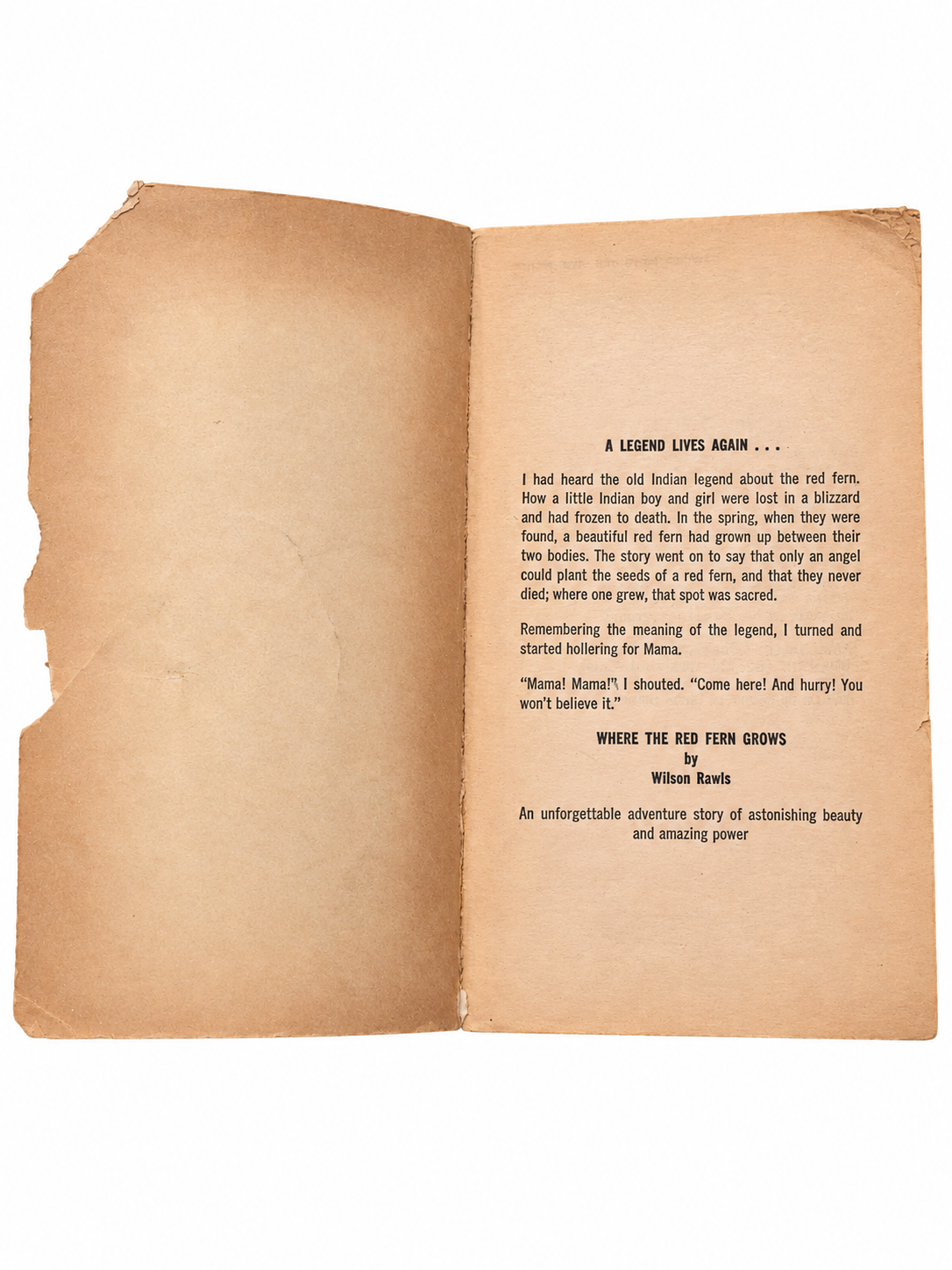 Where the Red Fern Grows opening pages showing torn inside cover, age tanning and discoloration on white background