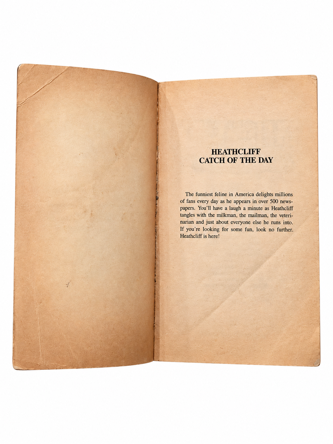 Heathcliff Catch of the Day opening pages showing original creases and tanning on white background