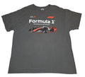 Formula 1 Pinnacle of Motorsport gray graphic T-shirt front