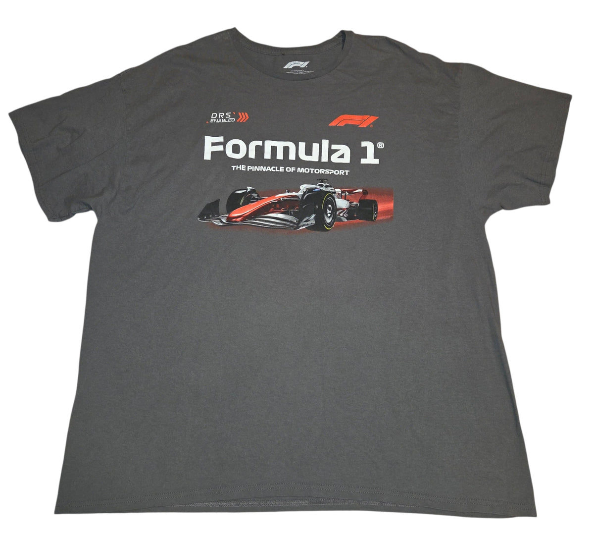Formula 1 Pinnacle of Motorsport gray graphic T-shirt front