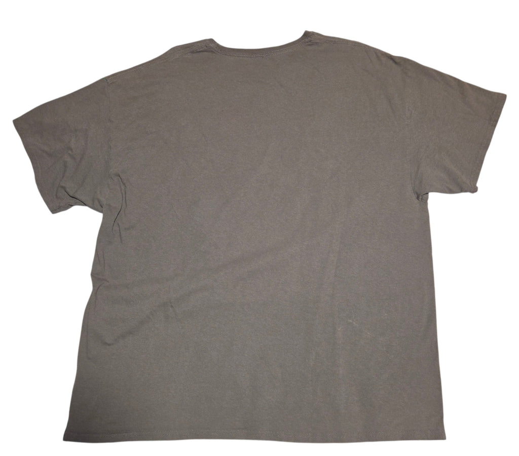 Formula 1 gray T-shirt plain back