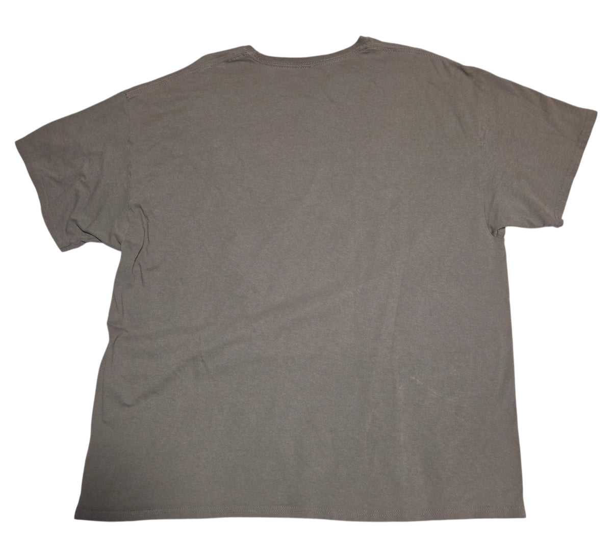 Formula 1 gray T-shirt plain back