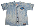 Sonic the Hedgehog blue arrow pinstripe baseball jersey front
