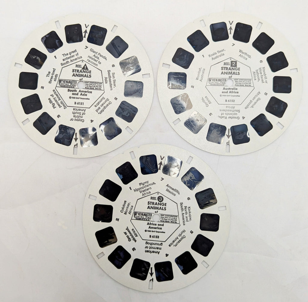 1958 View-Master Strange Animals Of The World 3 Reel Pack image 4