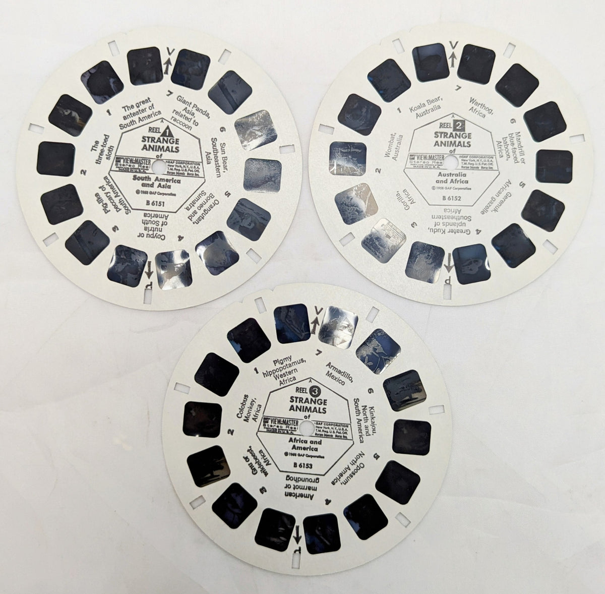 1958 View-Master Strange Animals Of The World 3 Reel Pack image 4