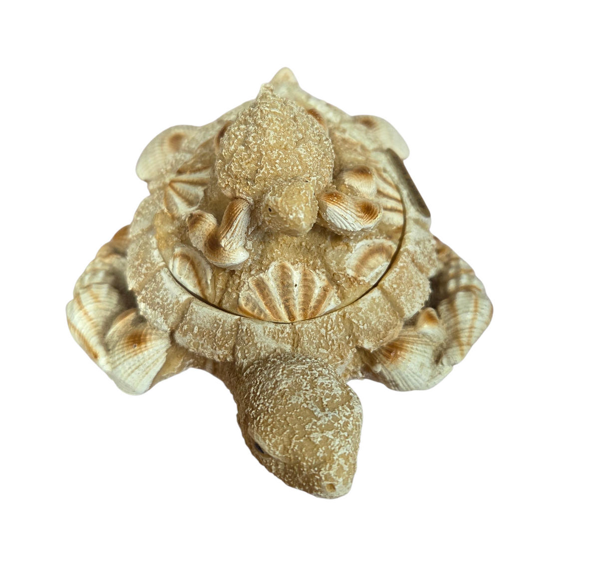 Riviera Maya, Mexico Sea Turtle Mom And Baby Carved Trinket Box image 3