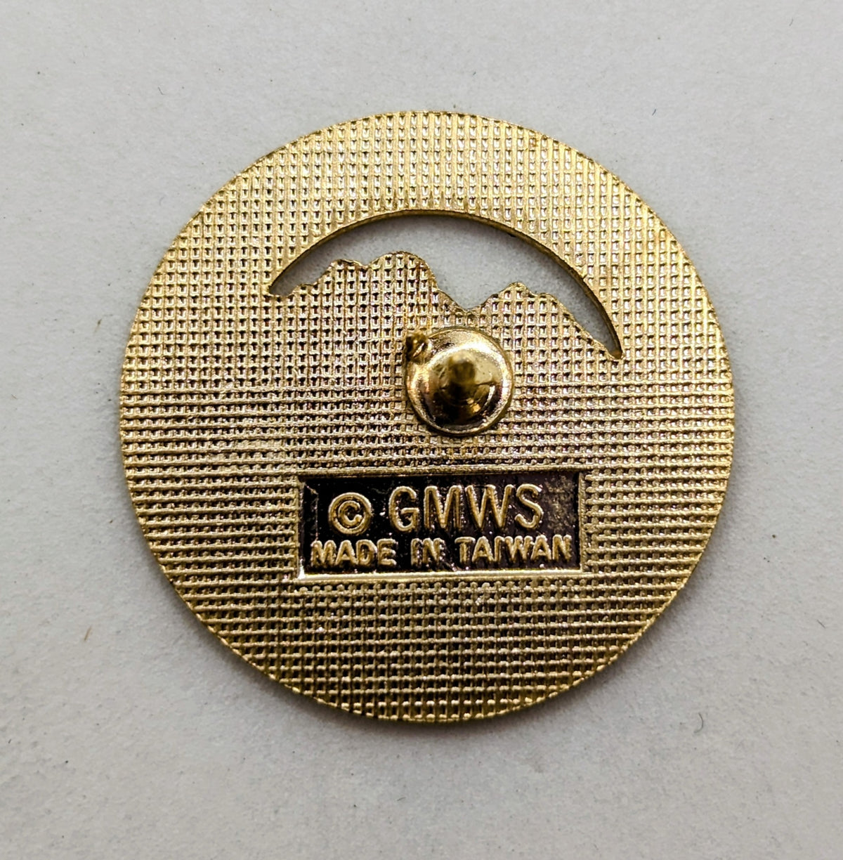 GMWS Taylor Park Colorado Souvenir Enamel Lapel Pin image 3