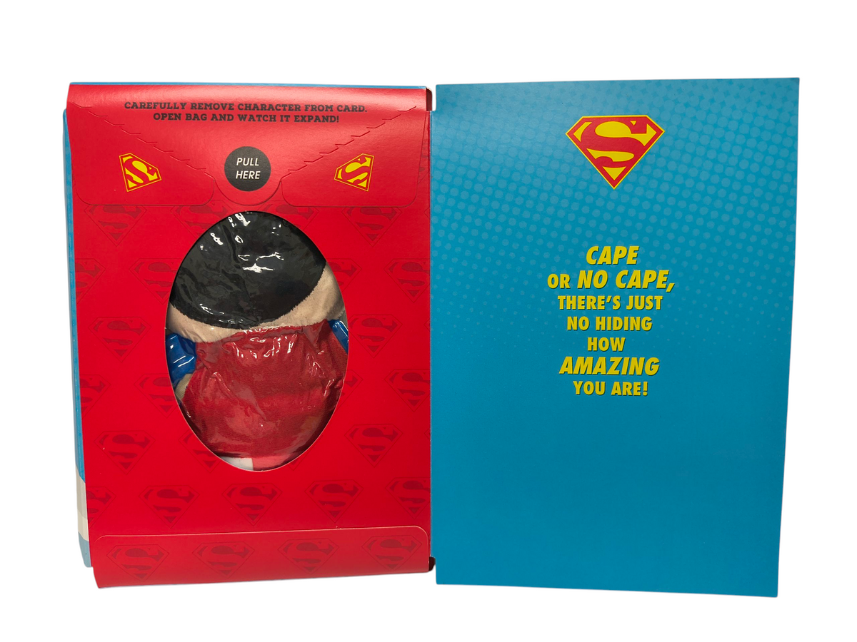 Hallmark Itty Bittys Superman Hero Time Birthday Card with Plush Itty Bitty image 2