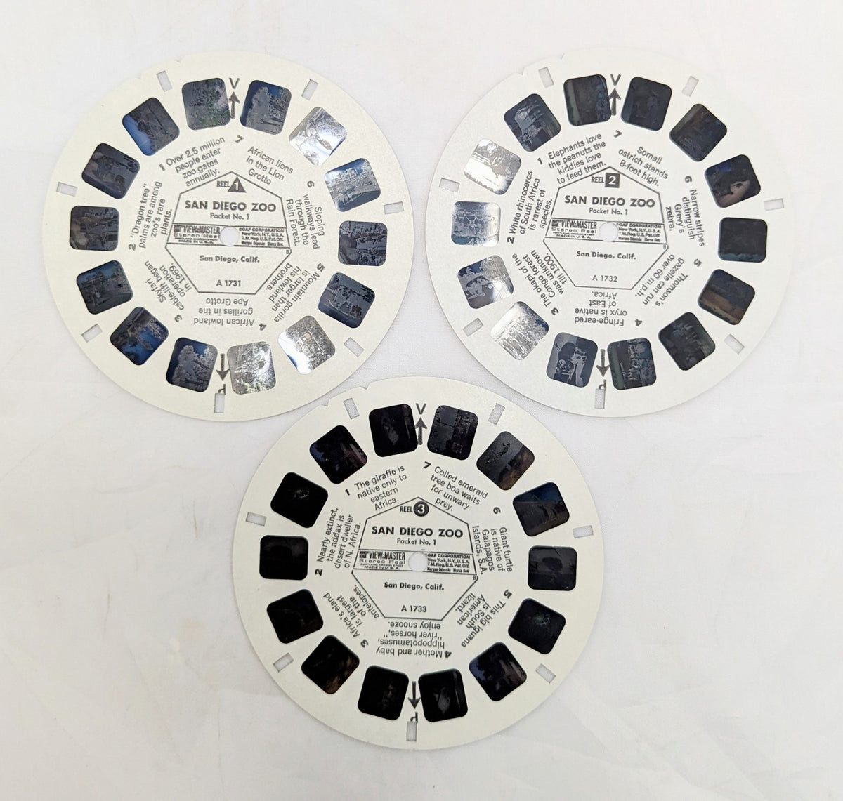 Vintage View-Master San Diego Zoo Packet No. 1 - 3 Reel Pack image 4