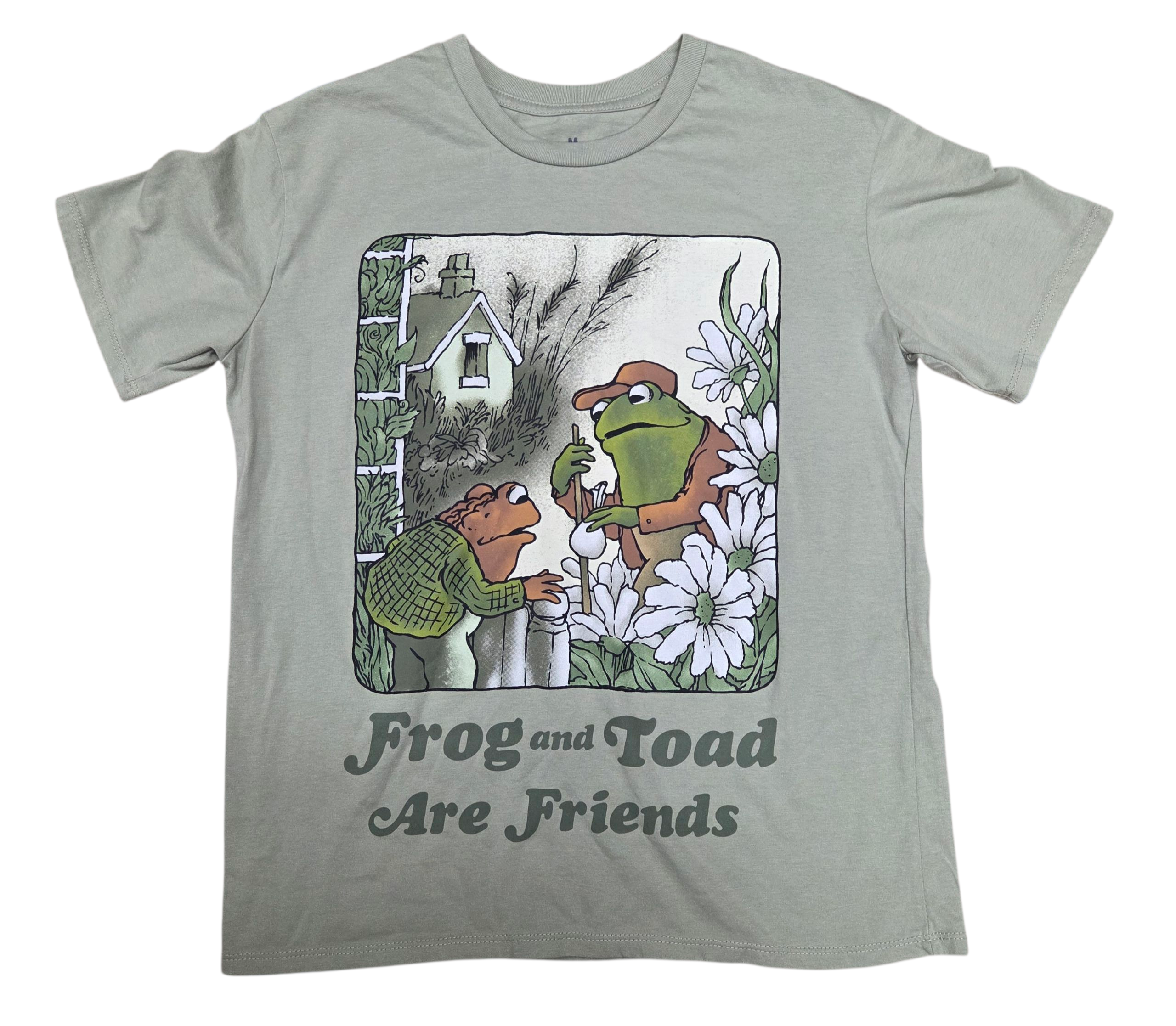 Arnold Lobel Frog And Toad Are Friends Green Graphic T-Shirt Size Medium