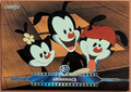 2024 Kakawow Cosmos Warner Bros WB 100th Final Frames CWQ-F-115 Animaniacs