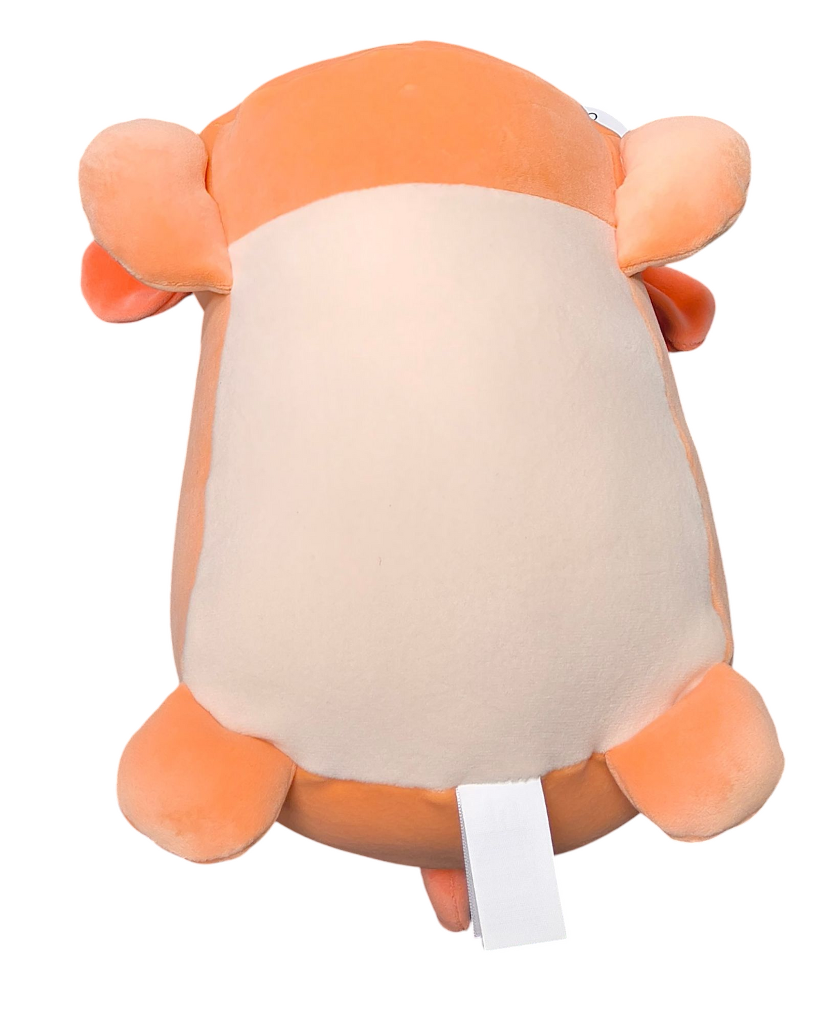 2024 Squishmallow Sleep A Mallow Drella The Dog Orange 12" Sleeping Plush image 4