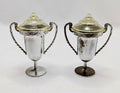 Silver Plastic Trophy Cup Salt & Pepper Shakers