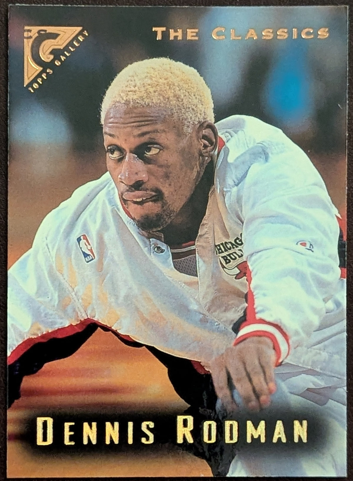 1995-96 Topps Gallery Dennis Rodman The Classics Subset #90 Chicago Bulls HOF
