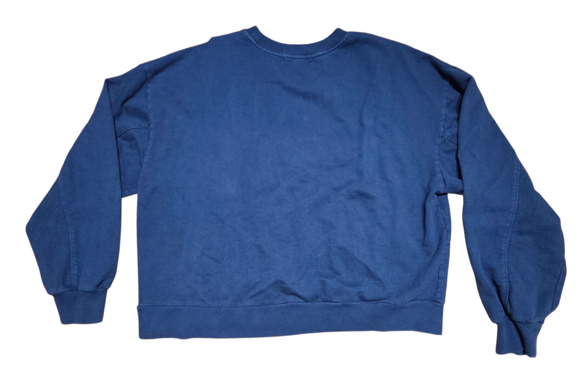 Forever 21 Alaska The Last Frontier Blue Sweatshirt Size 0X image 2