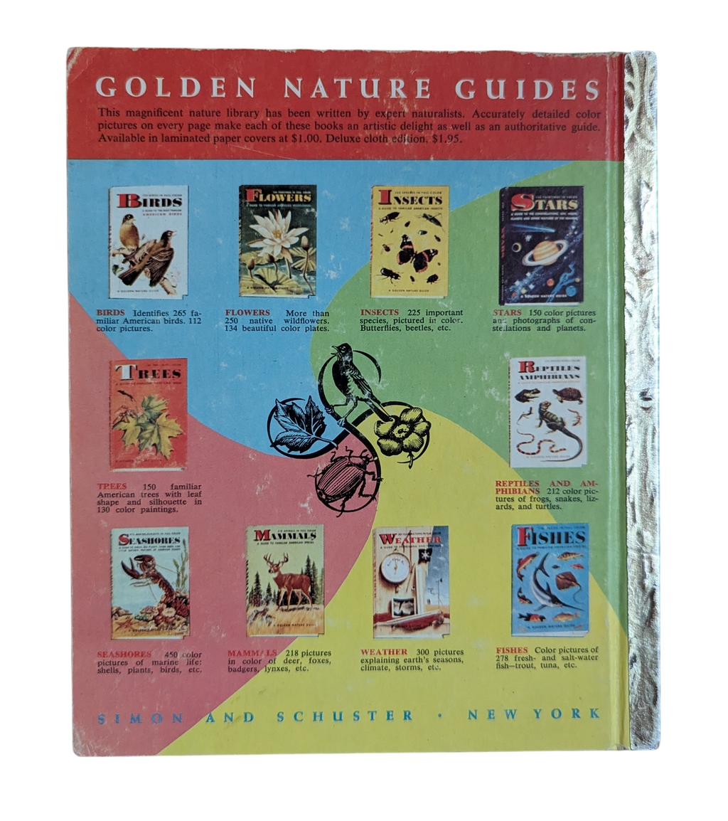 1948 A Little Golden Book Walt Disney's Bongo - HC image 2