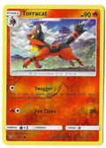 2017 Pokemon TCG Shining Legends 16/73 Torracat Reverse Holo