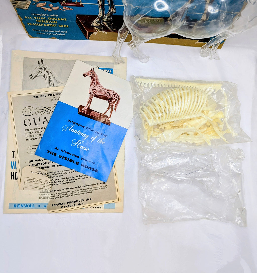 1961 Renwal The Visible Horse Assembly Kit - Incomplete image 3