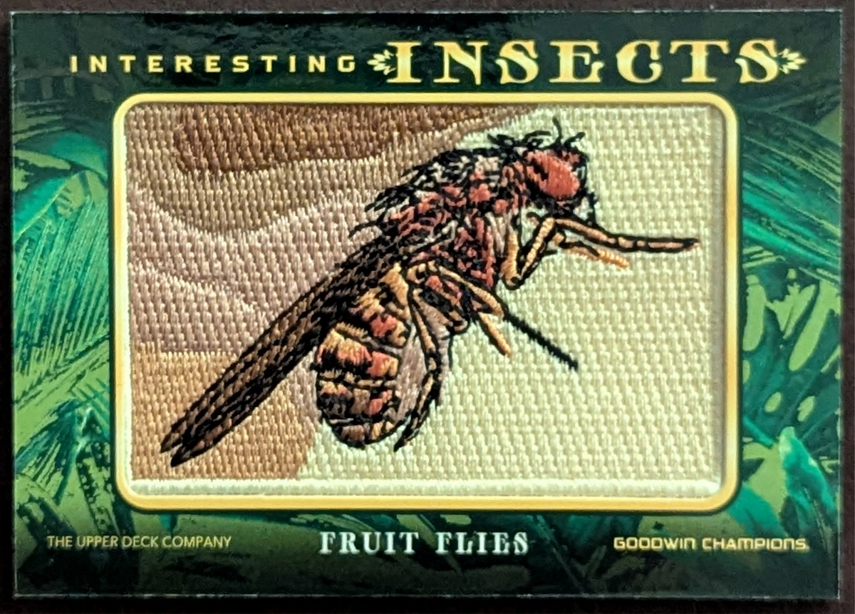 2022 Upper Deck Goodwin Champions Fruit Fly Interesting Insects Patch #IP-20