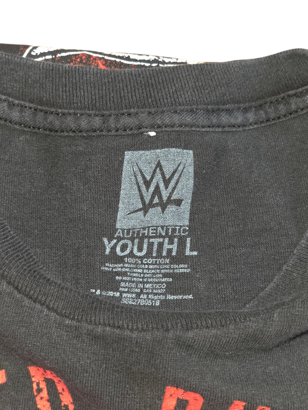 WWE Authentic Seth Rollins Came Stomped Burned it Down Black T-Shirt Youth Large image 3