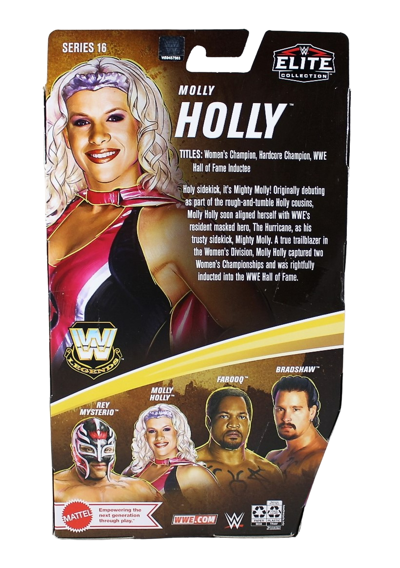Exclusive WWE Mighty Molly Holly Mattel Elite Collection Legends Series 16 image 2