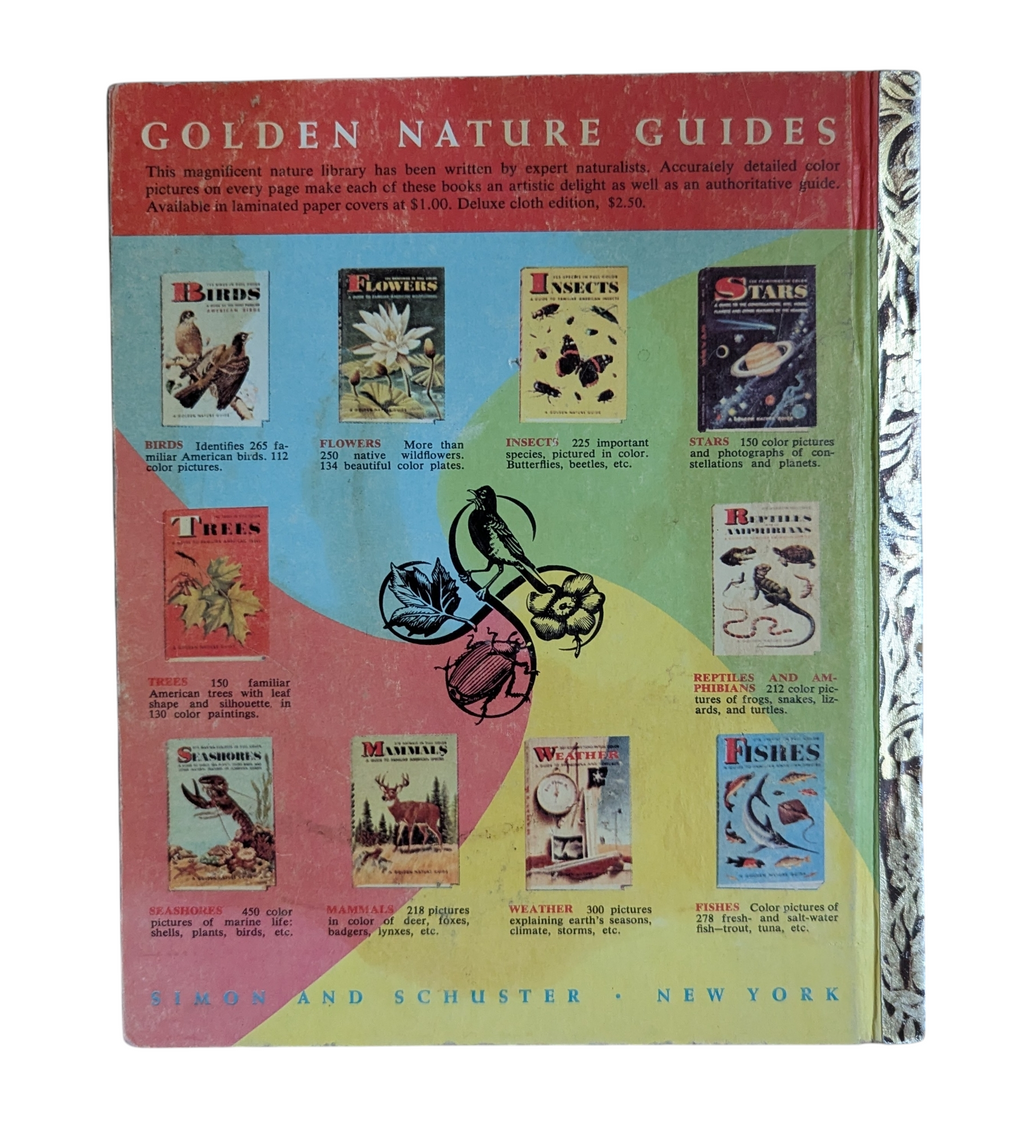 1955 A Little Golden Activity Book Dog Stamps - HC image 2