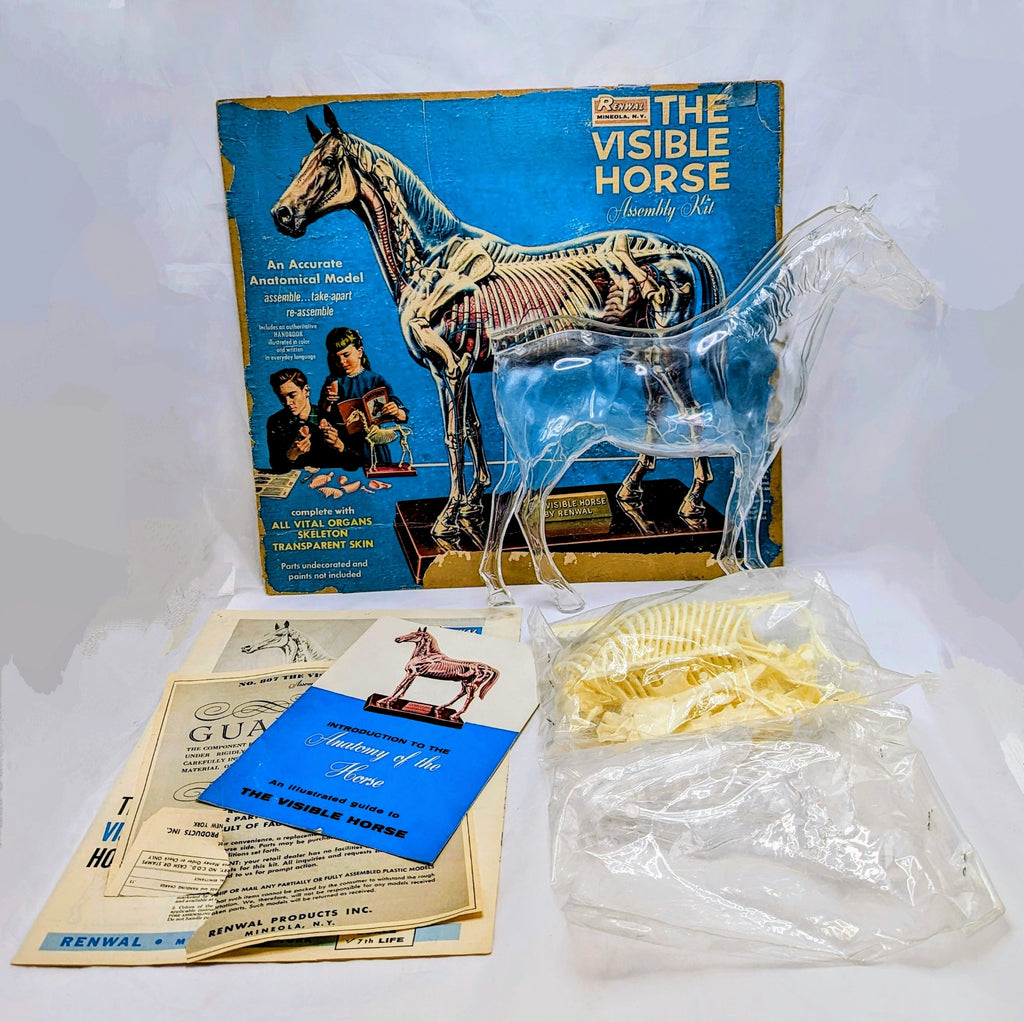 1961 Renwal The Visible Horse Assembly Kit - Incomplete