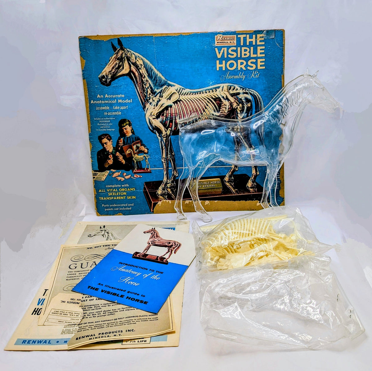 1961 Renwal The Visible Horse Assembly Kit - Incomplete