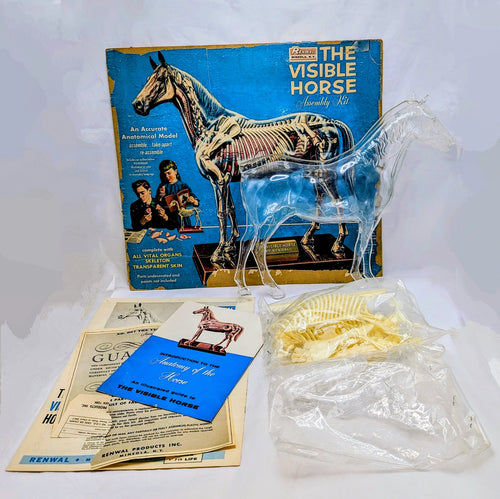 1961 Renwal The Visible Horse Assembly Kit - Incomplete