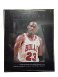1996 Costacos Brothers Michael Jordan Victory Poster 16 X 20 CB-MJG97