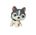 2007 Hasbro LPS Littlest Pet Shop Husky #210 White Grey w/ Teal Eyes