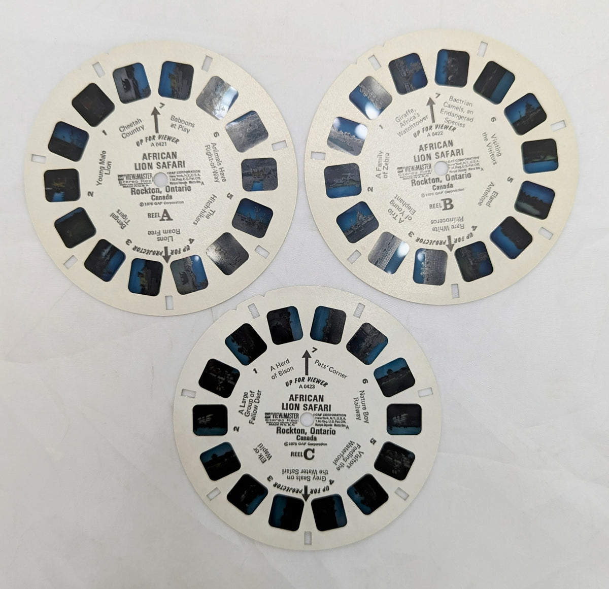 1976 GAF View-Master African Lion Safari Rockton Ontario 3 Reel Pack image 4