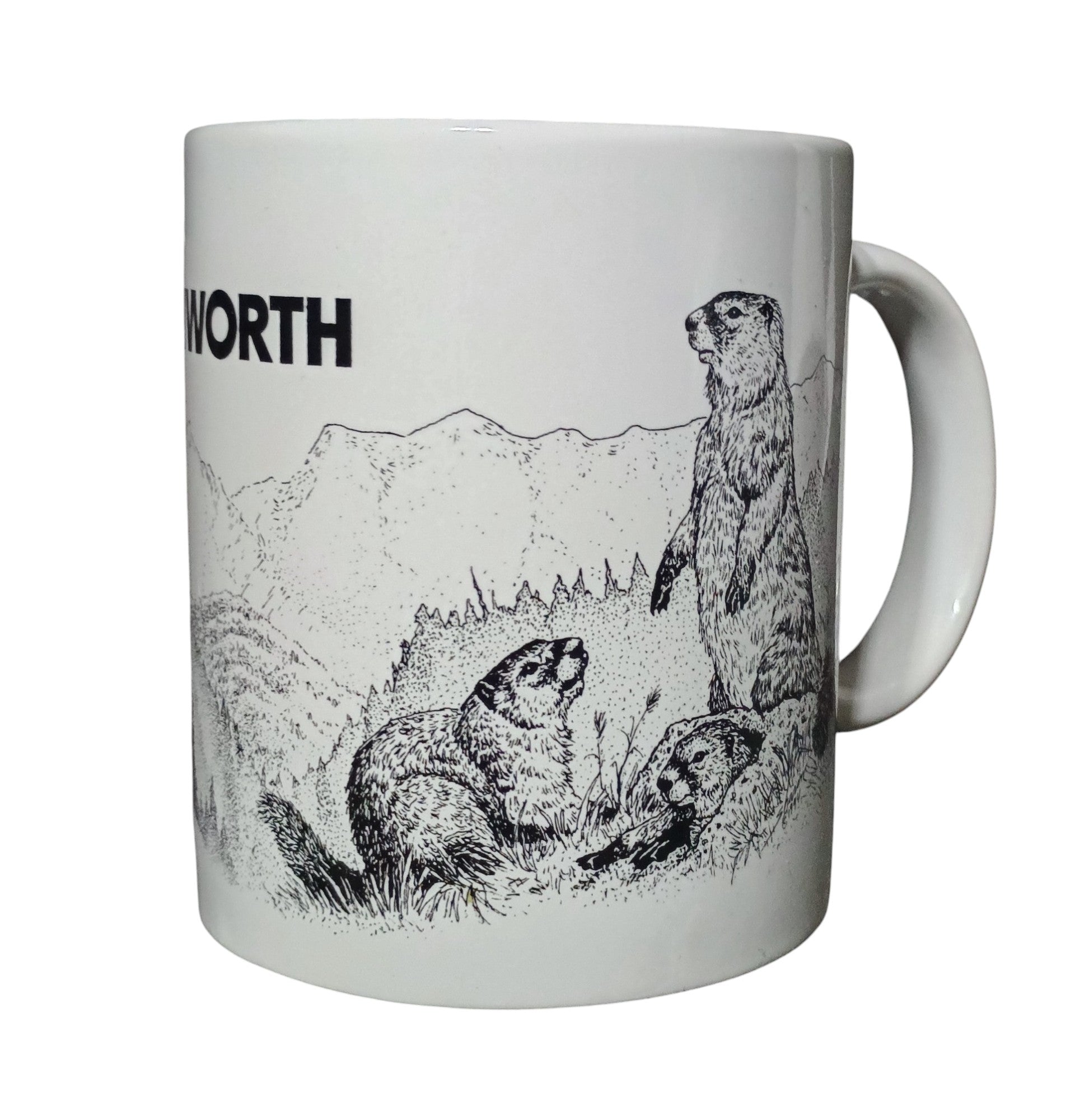 Kenworth Semi Tractor Diesel Truck Coffee Mug Beavers Cabin in Woods image 2
