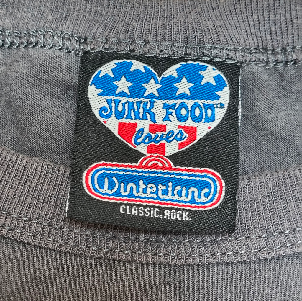 Vintage Junk Food Lynyrd Skynyrd Swamp World Tour Grey Womens XL T-Shirt image 3