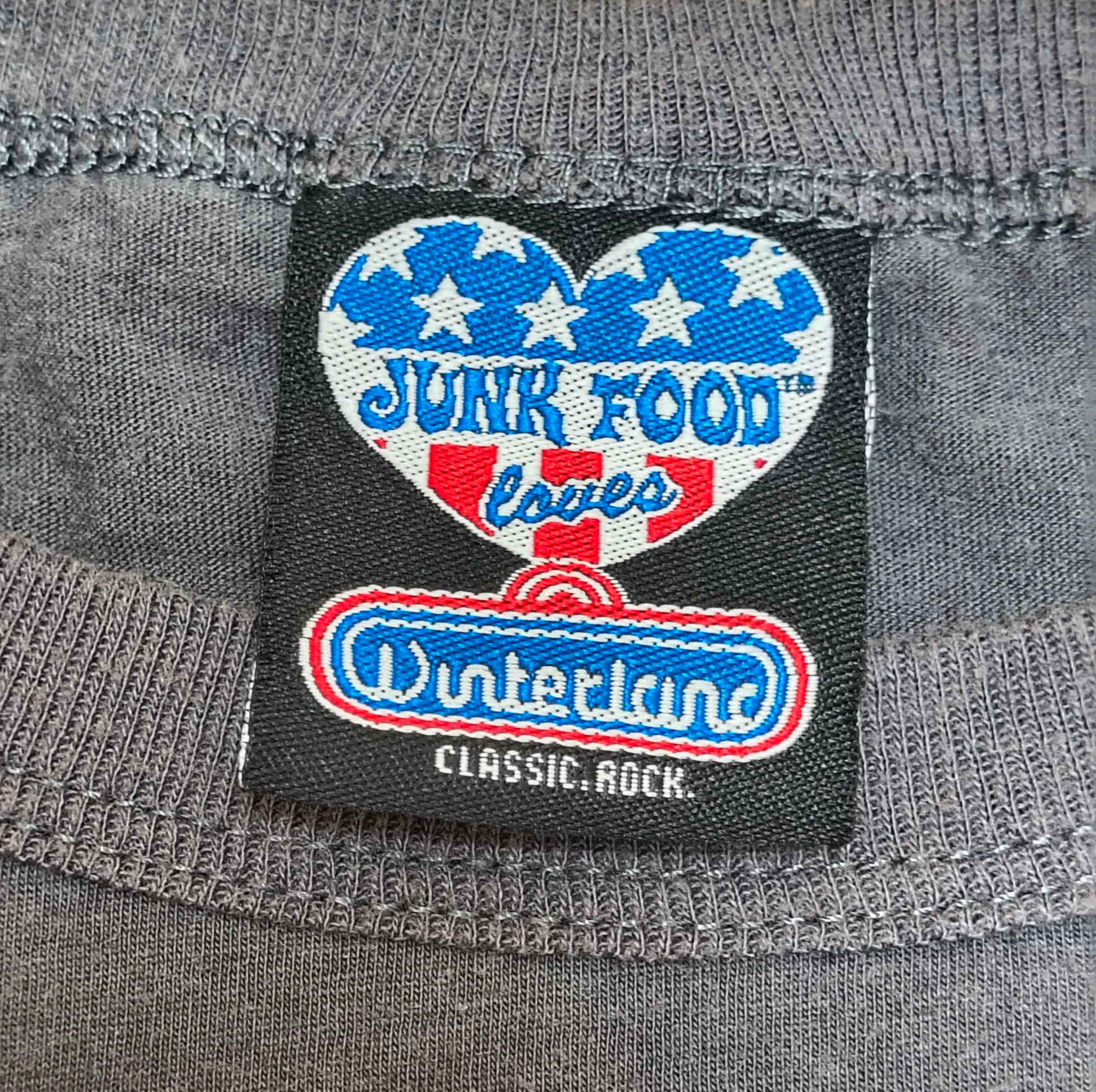 Vintage Junk Food Lynyrd Skynyrd Swamp World Tour Grey Womens XL T-Shirt image 3