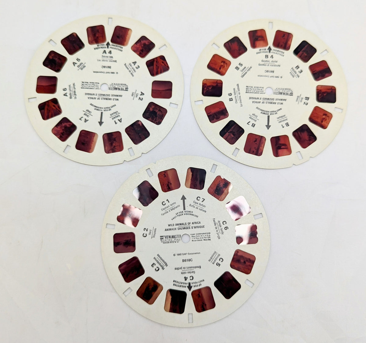 1960 View-Master Wild Animals Of Africa 3 Reel Pack image 4