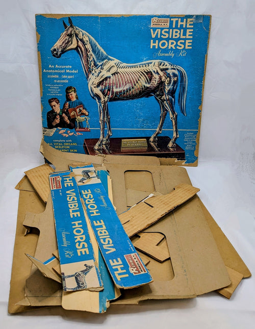 1961 Renwal The Visible Horse Assembly Kit - Incomplete image 2