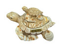 Riviera Maya, Mexico Sea Turtle Mom And Baby Carved Trinket Box