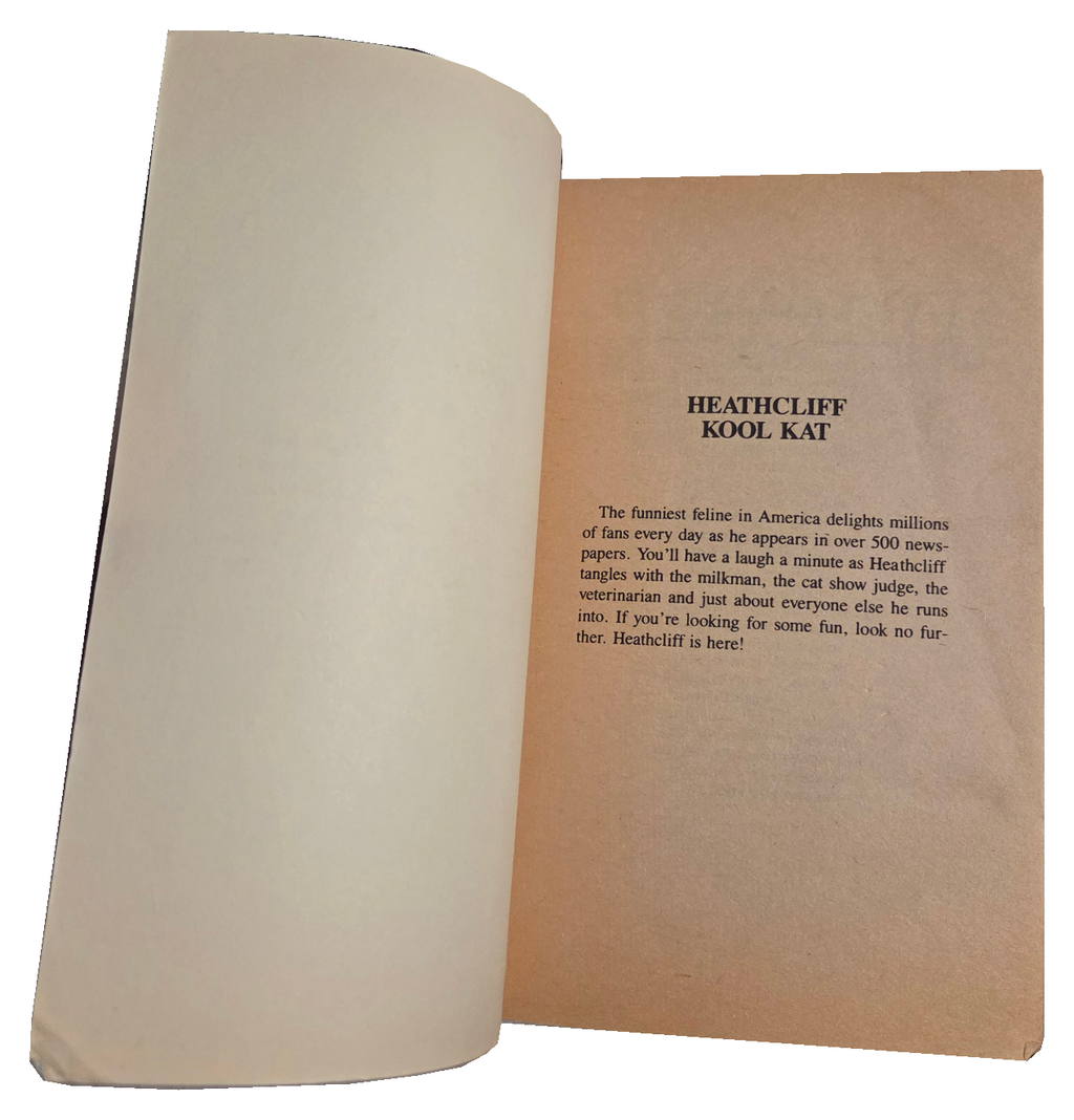 Heathcliff Kool Kat – original interior photo with fingers removed