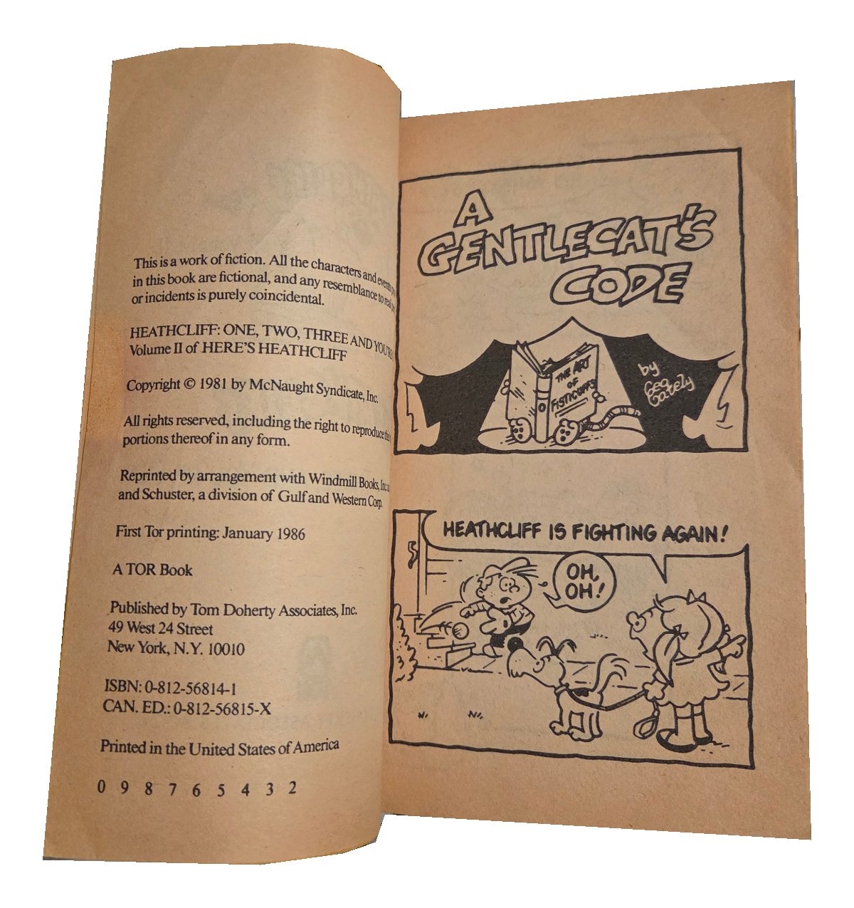 Heathcliff One Two Three and You're Out – original interior photo with fingers removed