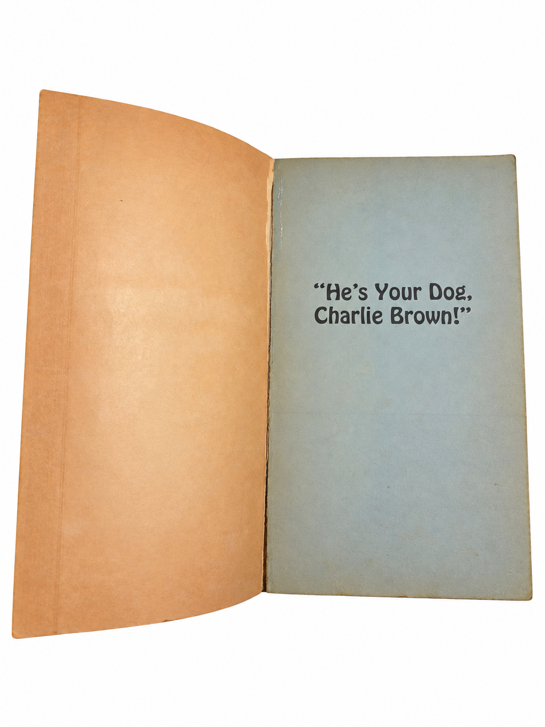 He's Your Dog Charlie Brown opening pages, hands removed