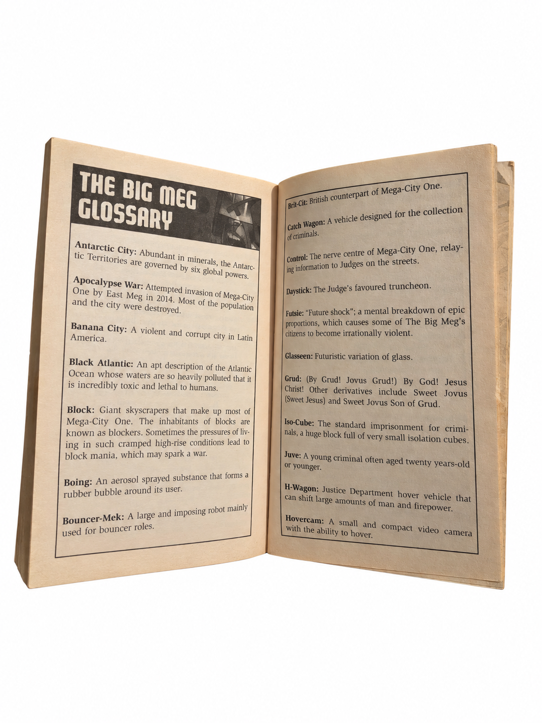 Big Meg Glossary interior pages