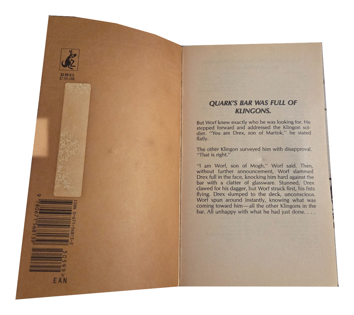 The Way of the Warrior by Diane Carey - inside cover, actual pre-owned copy